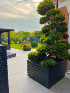 dark grey square planter on patio surface with a large green plant inside